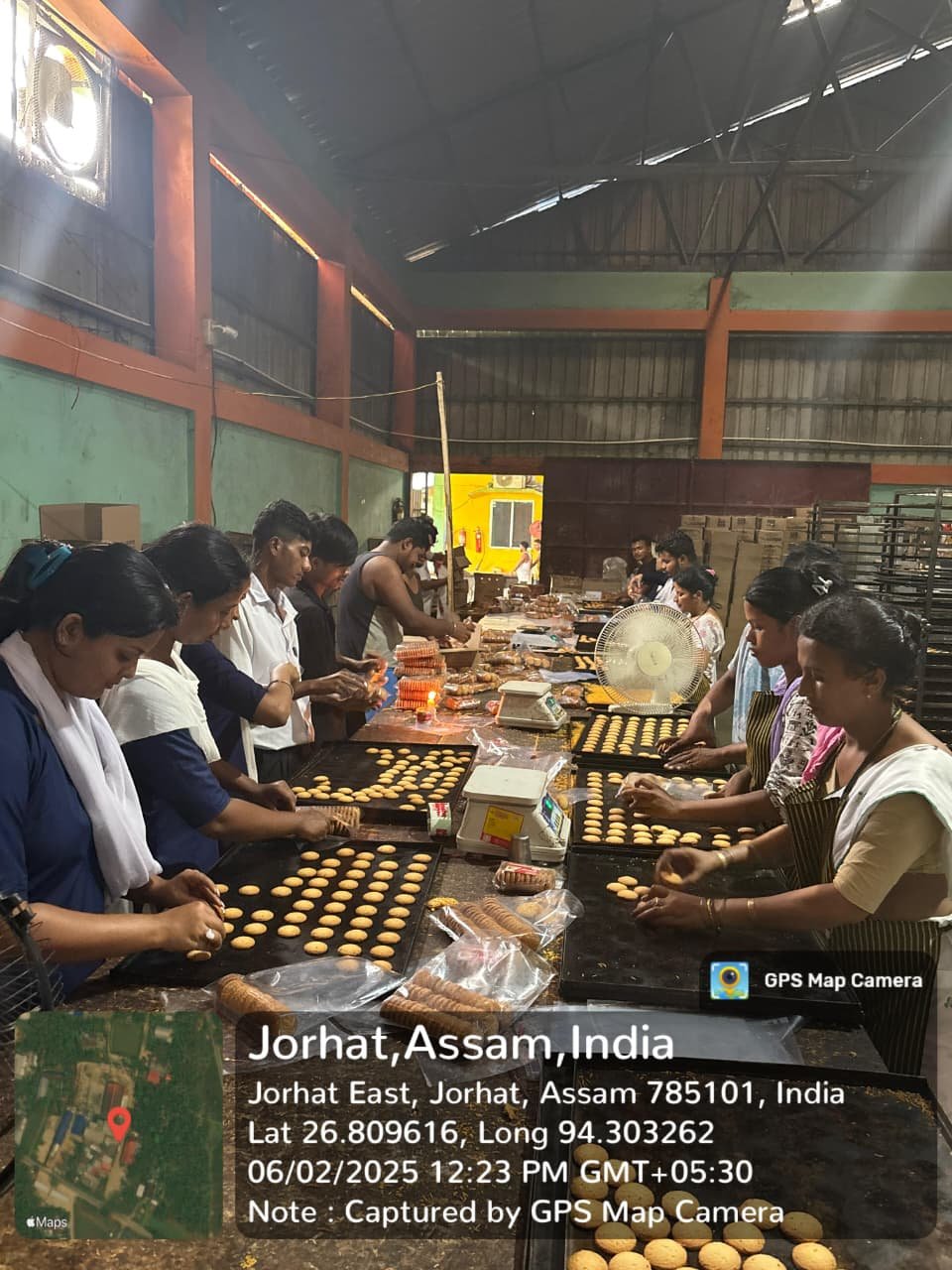 Activities during internship 3