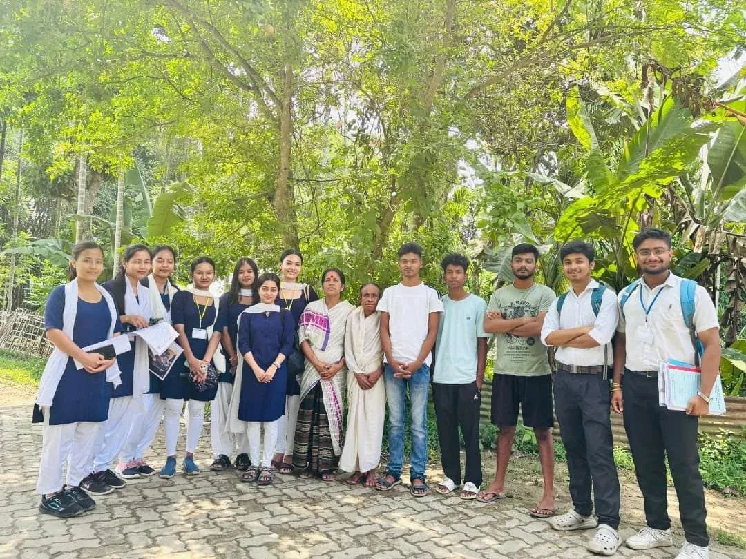 Activities during internship 4