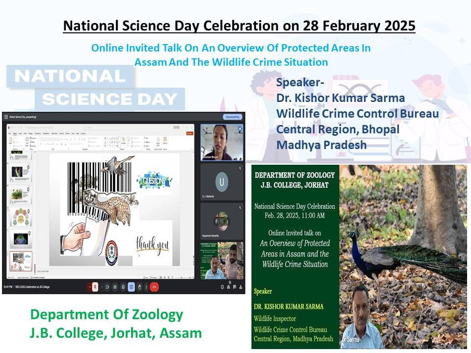 NSD ZOO 2