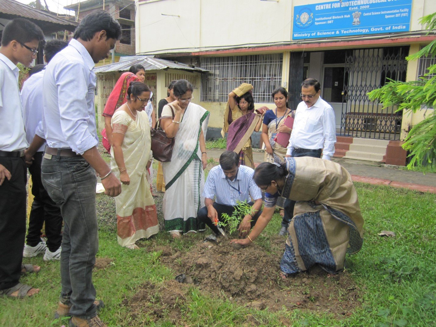TREE PLANTATION