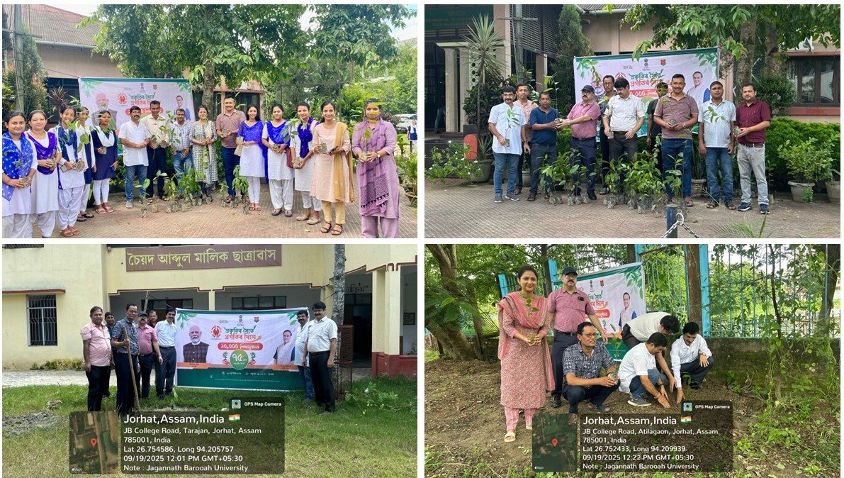 Tree Plantation